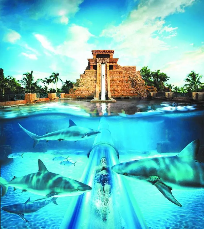 Hotel Comfort Suites Paradise Island Creek Village