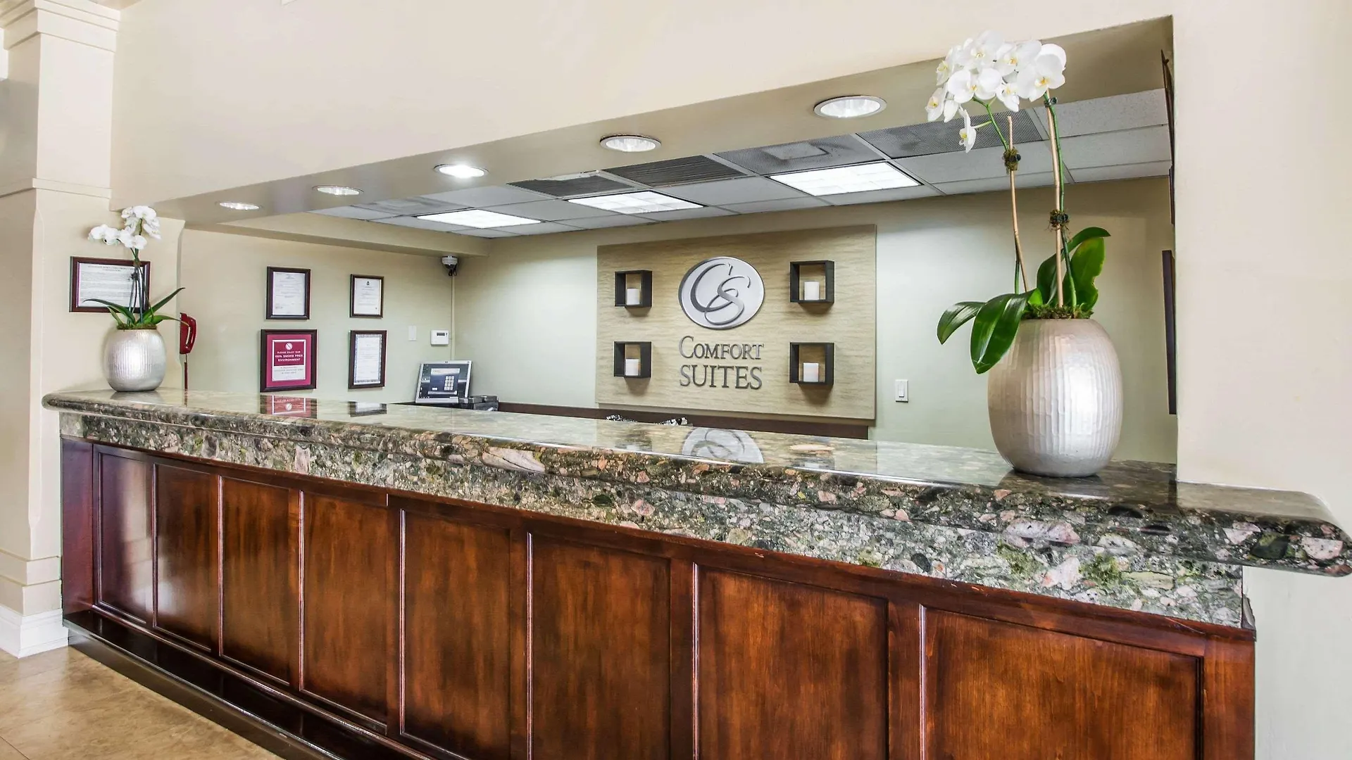 **** Hotel Comfort Suites Paradise Island Creek Village Bahamas