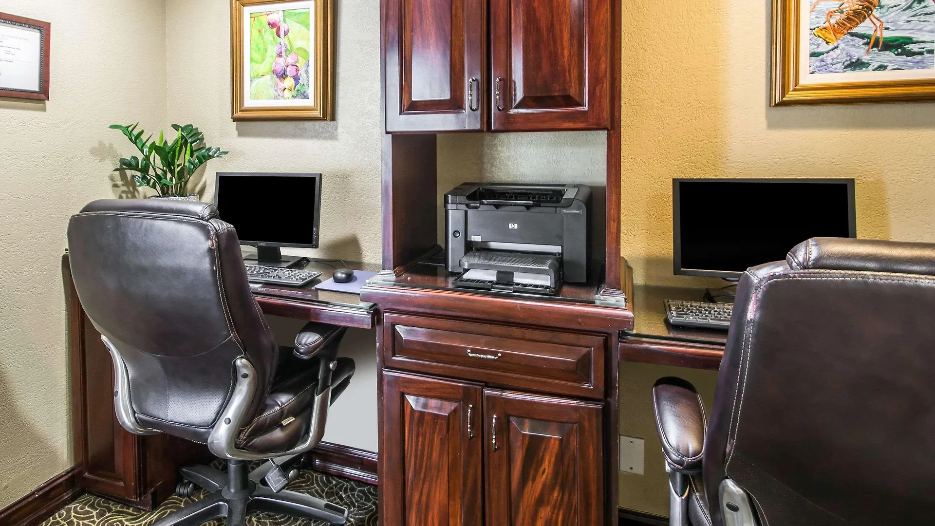 Hotel Comfort Suites Paradise Island Creek Village